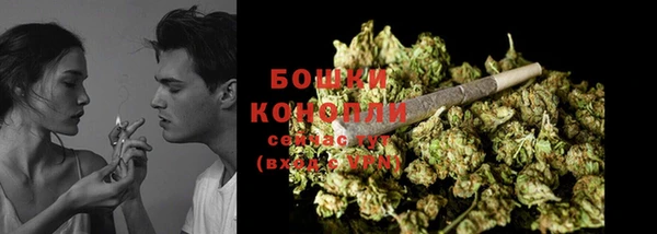 спайс Гусев