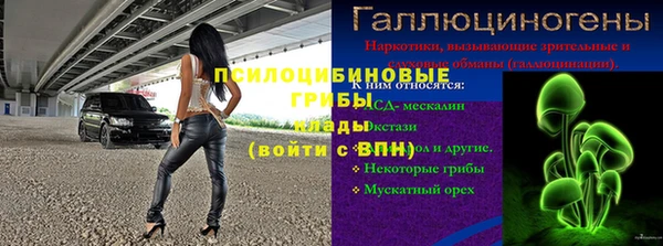 прущая мука Гусиноозёрск