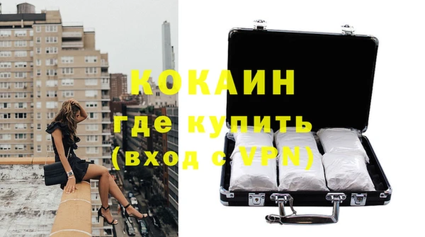 спайс Гусев